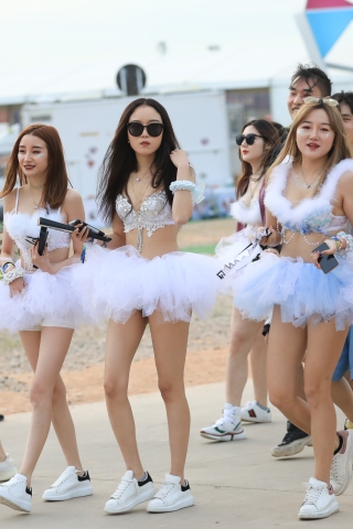 【凯恩赛贴】一群小天鹅